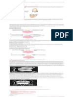 Introduction To Dental Anatomy (Dental Anatomy, Physiology and Occlusion) Part 3