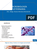 T9 Bacilos Gram Positivos Bacillus Anthracis - Clostridium Tetani.c Botulinum. C. Chauvoei, C (02122020)