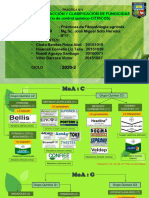 Control Quimico Fungico para Cítricos-FRAC C y G