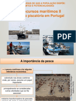 2.4 Rec. Marítimos II - Atividade Piscatória em Portugal 20-21