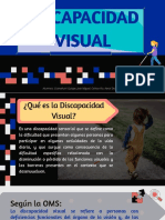 Discapacidad Visual.