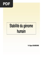 12-Stabilité Du Génome Humain