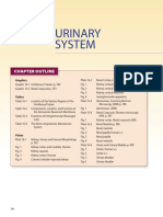 Chapter 16-Urinary System