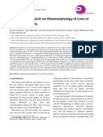 Effect of Doxorubicin On Histomorphology of Liver of Wistar Albino Rats