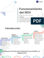 Funcionamiento Del SEIA