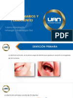 Dientes Primaros y Permanente