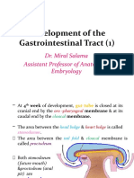 Development of Gastrointestinal Tract