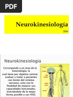 Neurokinesiologia 2010