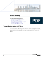 Transit Routing in The ACI Fabric