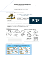 Guia de Trabajo para El Area de Ciencias Naturales Grado Primero