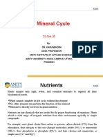 Mineral Cycle