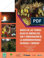 Raizes Das Terras Baixas Da America - Brasil e Uruguai