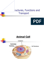 Cell Structures, Functions and Transport