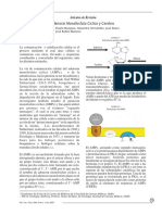 Adenosin Monofosfato Cíclico y Cerebro