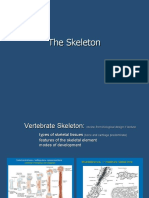 The Skeleton