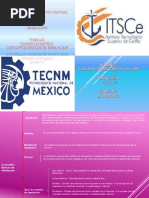 Cuadro Sinoptico Conceptos Basicos de Simulacion