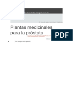 Plantas Medicinales para La Próstata