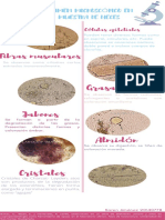 Examen Microscópico en Heces