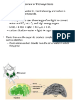 Overview of Photosynthesis