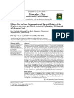 Evaluación de Aislados Bacterianos y Efecto Insecticida en Cucaracha