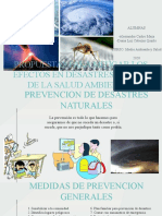 Desastres Naturales