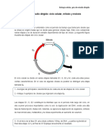 Estudio Dirigido Ciclo Celular