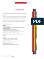 Wellstar Tubing-Retrievable Safety Valve