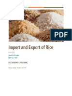 Project of Rice