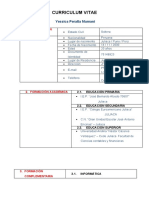 Curriculum Vitae - Yessica Péralta Mamani