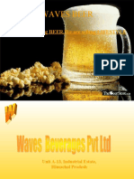 Business Plan of Waves Beer