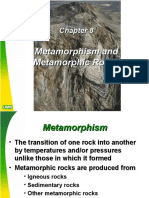 CH 8 - Metamorphic RX