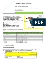 Guía de Laboratorio - El Magnetismo