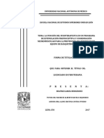 Protocolo de Prevencion de Lesiones de M