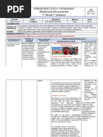 Proyecto 1 1BGU Microcurricular