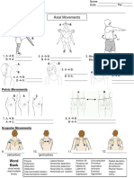 Axial Movements What Is Kinesiology?