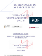 Prevención de Riesgos Laborales en Pantallas de Visualización de Datos