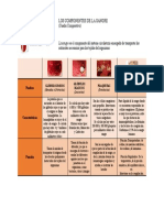 Los Componentes de La Sangre