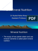 Plant Mineral Nutrition-1