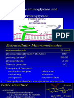 GAG & Proteoglycans