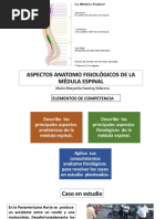 Aspectos Anatomo Fisiológicos de La Médula Espinal