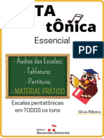 Pentatônica Essencial - Material Prático - Silvio Ribeiro