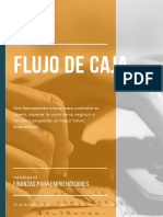 E - Book FLUJO DE CAJA