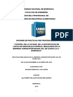 Informe de Practicas Unab - Aarón Idiaquez