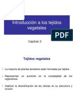 08-Tejidos Vegetales