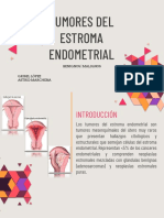 Tumores Del Estroma Endometrial