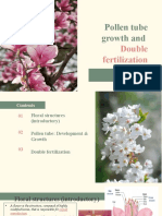 Pollen Tube Growth and Double Fertilization