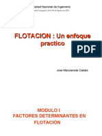 Flotación Enfoque - Práctico