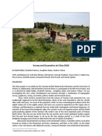 Survey and Excavation at Utica 2010 - Report Final