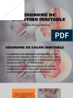 Sindrome Intestino Irritable