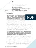 Guía Práctica para La Crianza de Material Biológico - Crisopas